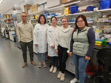 Fong with members of his lab. 