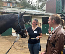 A dark horse wearing a blue halter stands in a stable yard while two people observe and interact with it. One person holds a notebook and reaches toward the horse’s muzzle, while another stands nearby listening.