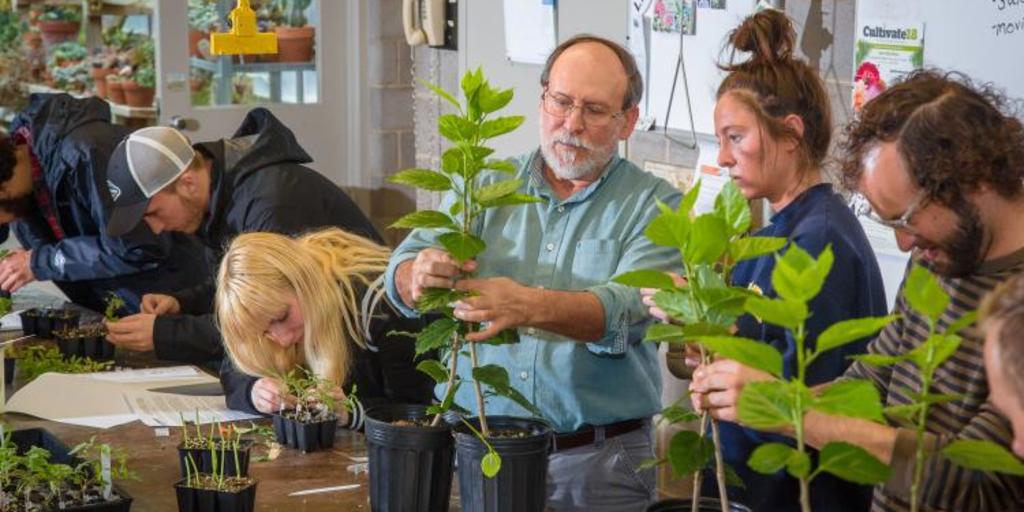 Kentucky, Florida Put Aside Rivalry to Rally Around Love of Growing Plants - Vimarsana News