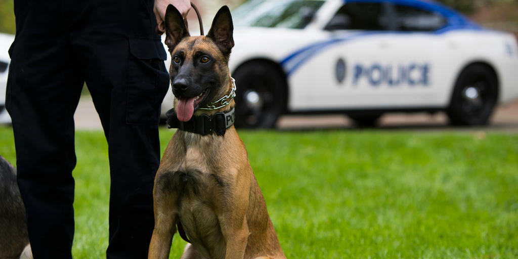 UKPD Recognizes Specialized K9 Unit - Vimarsana News