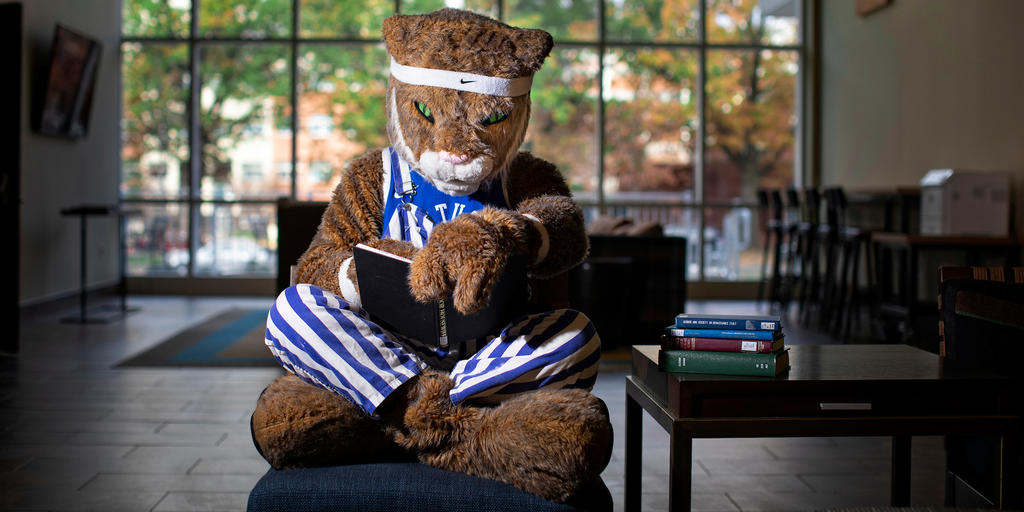 What Are Wildcats Reading on World Book Day? - Vimarsana News