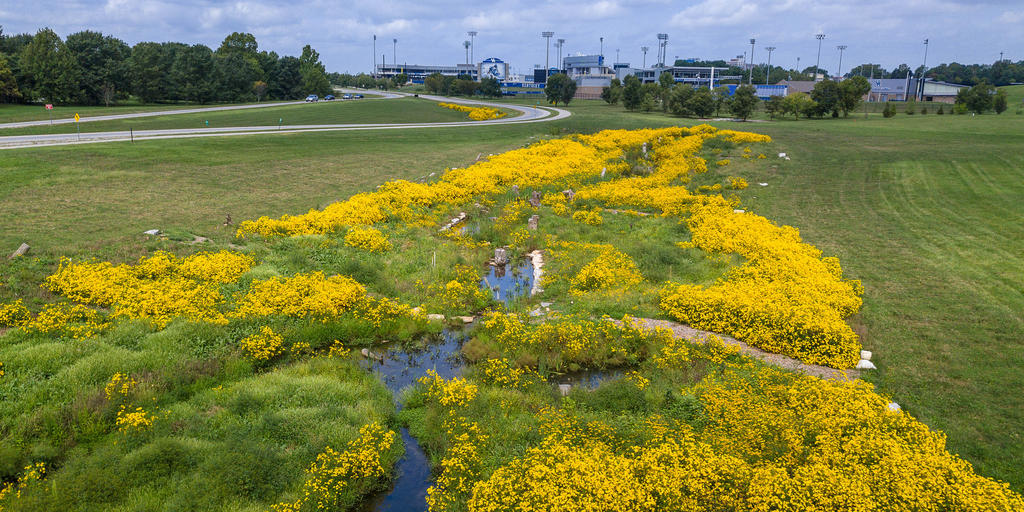 UK Stormwater Program needs community support to protect streams, water quality - Vimarsana News
