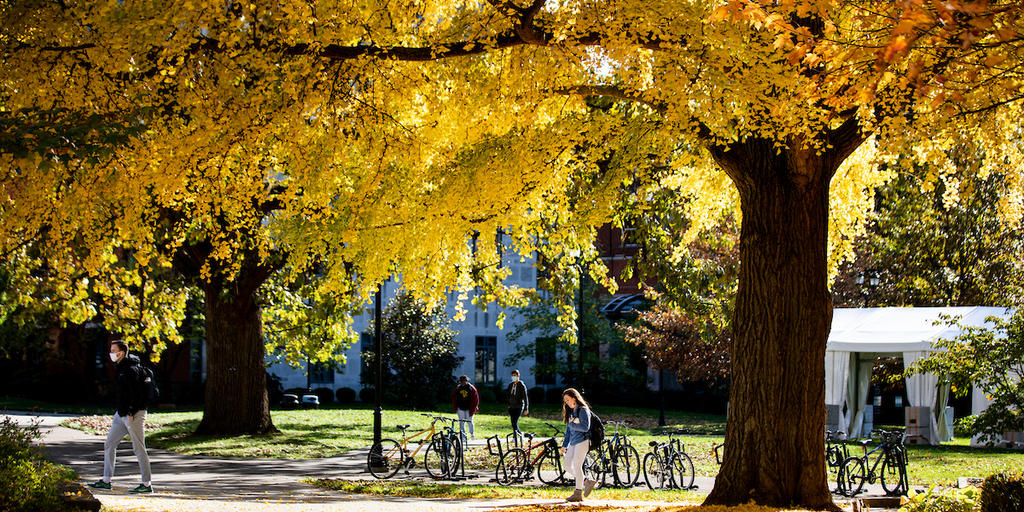 Kentucky Showcases Autumn Through a Kaleidoscope of Colors - Vimarsana News