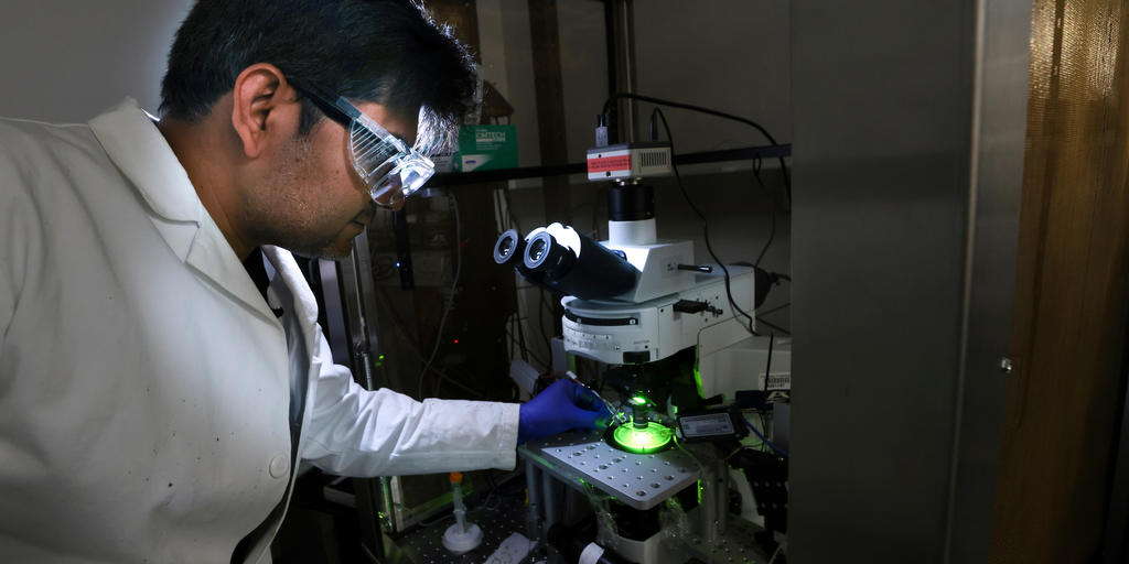 UK climbs among national peers in higher ed research rankings - Vimarsana News