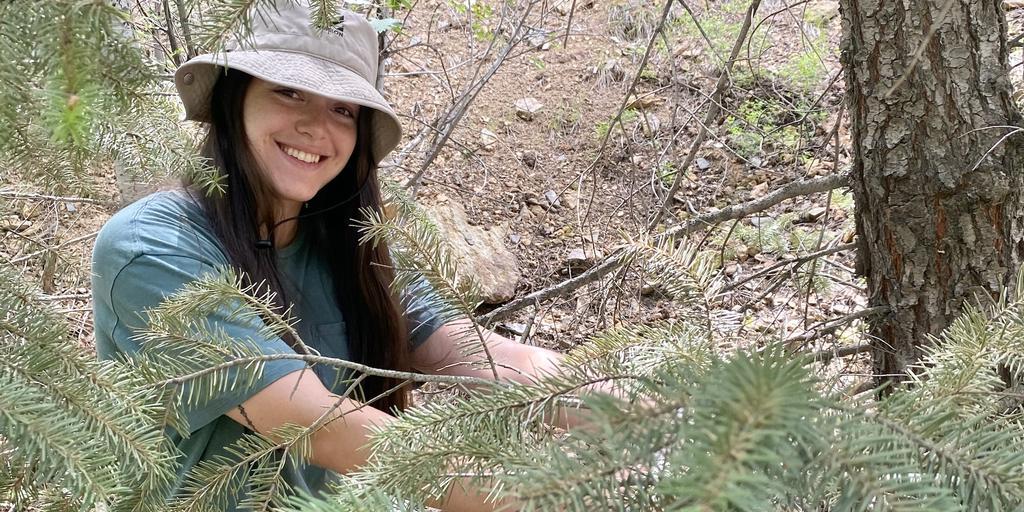 Opportunities open for students interested in summer research - Vimarsana News