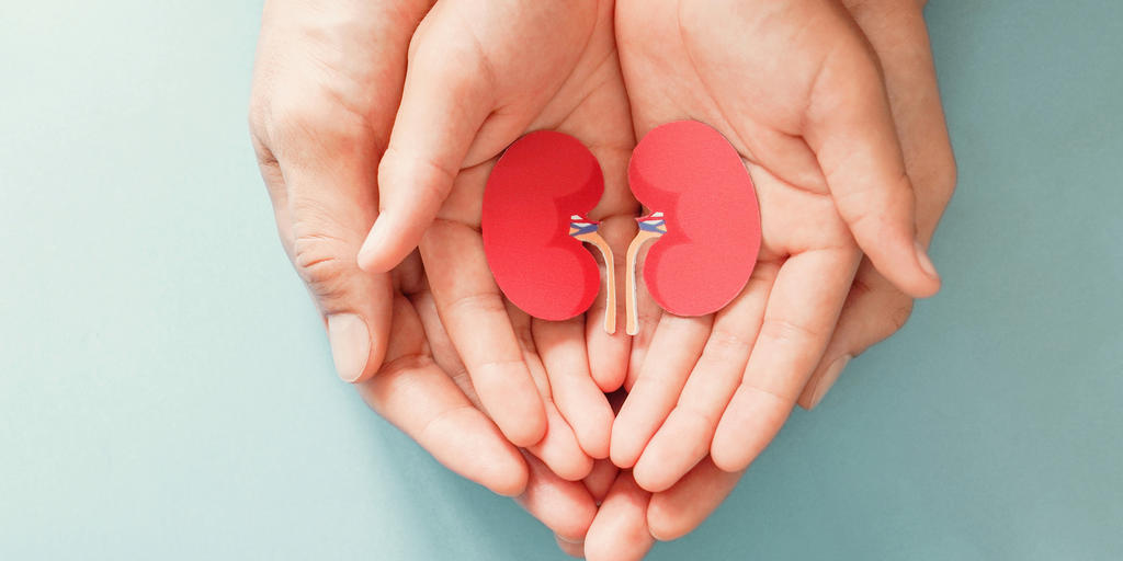 Give the gift of life — What to know about donating a kidney - Vimarsana News