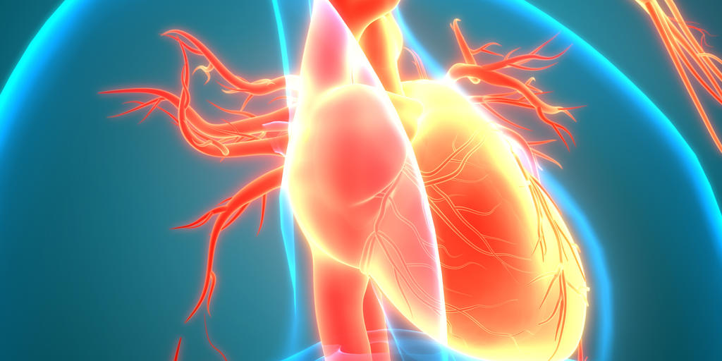 Gill Heart & Vascular Institute to host affiliate meeting in Lexington - Vimarsana News