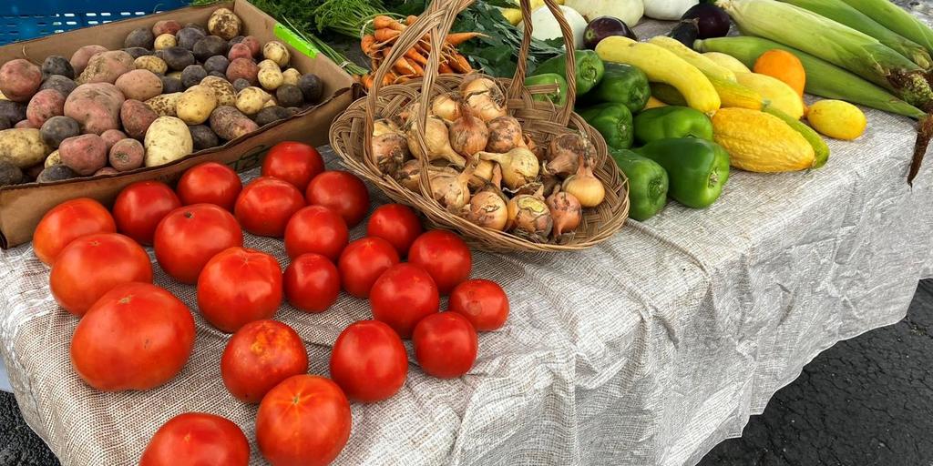 UK Nutrition Education, Gray Street Farmers Market to co-host 'Recipe Sampling Days' - Vimarsana News