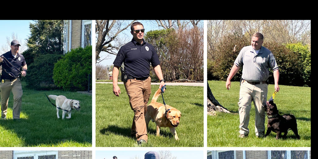 UK Police Department Explosive K9 teams and Critical Response K9 teams completed national certification - Vimarsana News