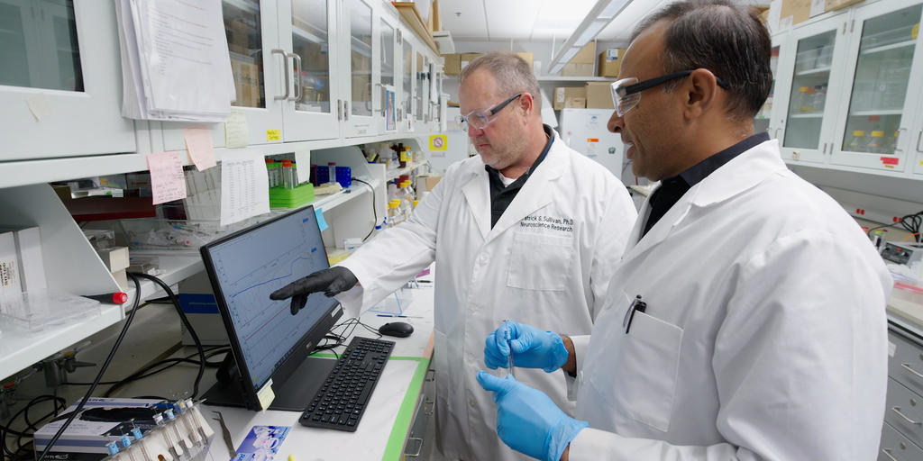 NIH awards $10.6 million for central nervous system metabolism research center at UK - Vimarsana News