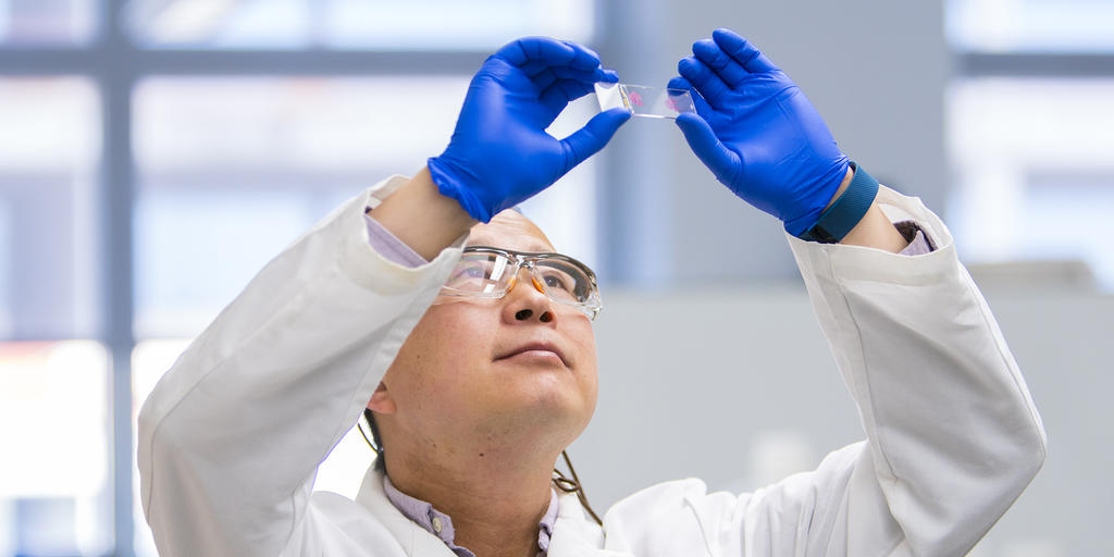 Markey study identifies new treatment target for metastatic cancer - Vimarsana News