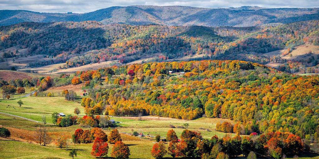 Appalachian Center, Appalachian Studies to host Theresa Burriss for campus talk on Appalachia and Eastern Europe - Vimarsana News
