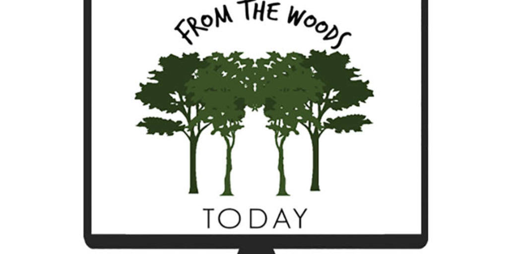 Extension Webcast 'From the Woods Today' Offers a Topics Salad to Interest Everyone - Vimarsana News