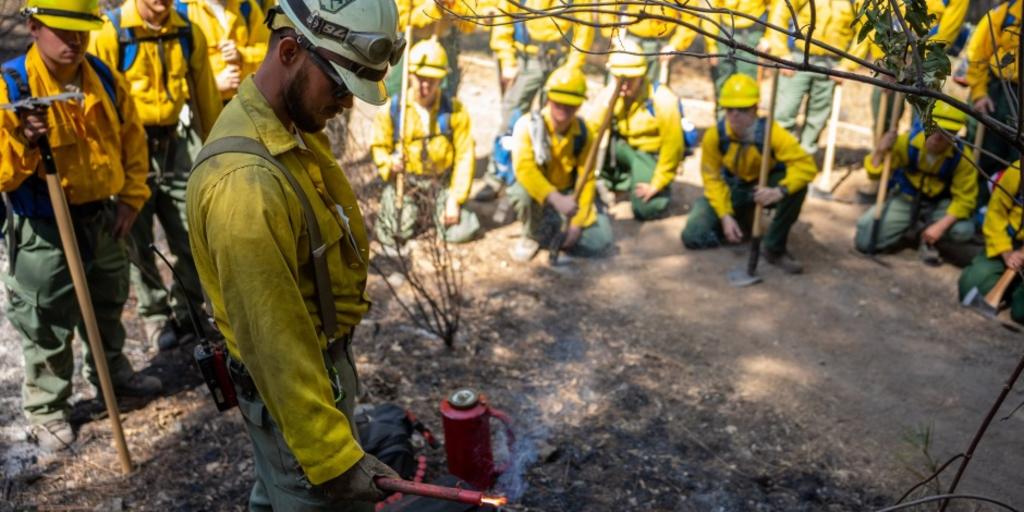 CELT partners with US Department of Interior for wildland fire teacher training - Vimarsana News