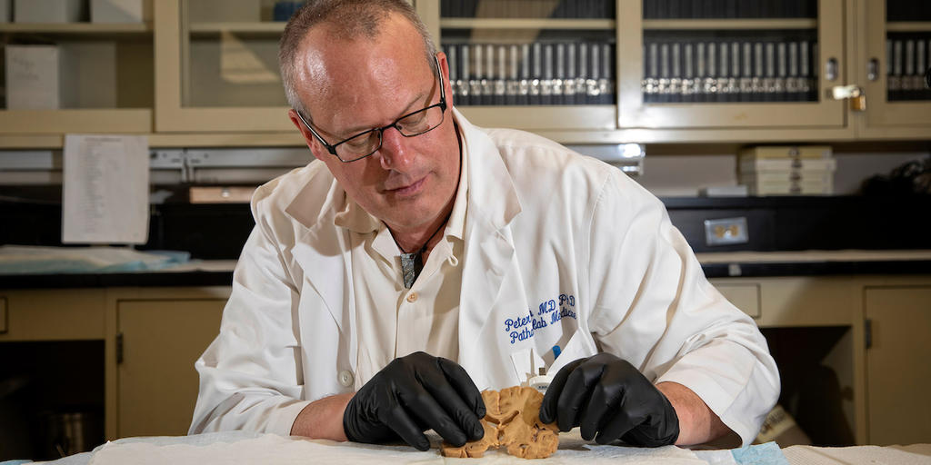 Honoring University Research Professor Peter Nelson - Vimarsana News