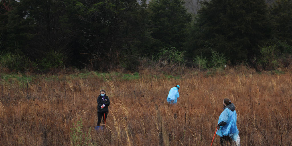 Lewis Honors Students Plant 1,200 Trees, Help Restore Appalachian Forest - Vimarsana News