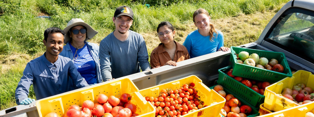 Five people stand beside the open bed of a pickup truck in a grassy field, posing behind stacks of yellow and green harvest crates filled with tomatoes. The crates contain a variety of tomato sizes and colors, including large red and pink tomatos