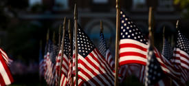 Rows of small American flags displayed outdoors on a lawn, with a larger American flag visible in the background and a brick building softly out of focus behind them.