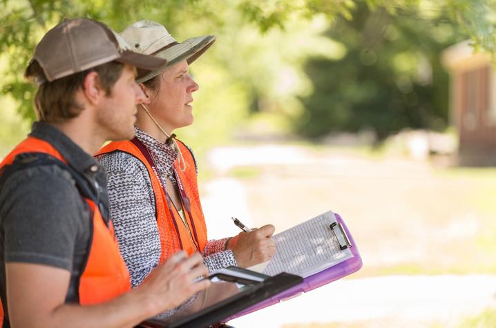 photo of students in HP Hybrid Field School at work 