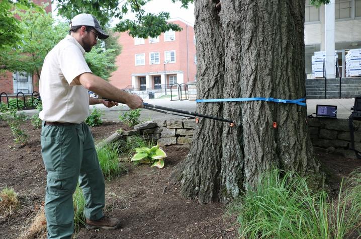 photo of Stacy Borden measuring tree