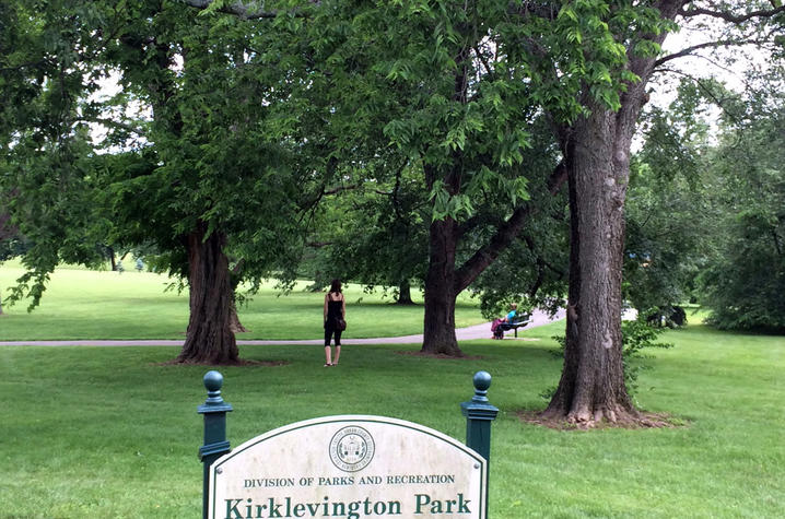 Kirklevington Park - Photo