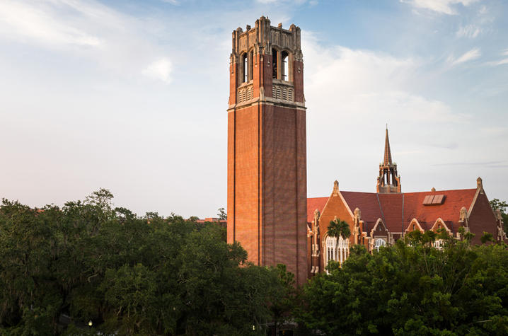 University of Florida