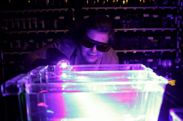 Jessica Blackburn looks into tank with zebrafish
