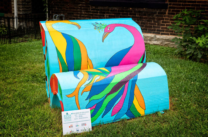 photo of book bench for "The Birds of Opulence"