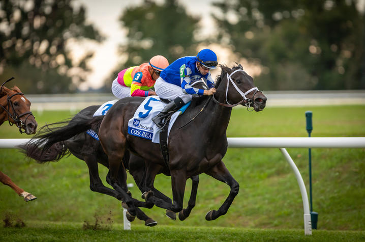 Horse racing toward the finish in the home stretch at Keeneland