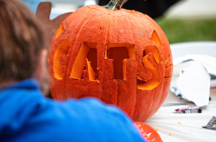 Photo of CATS Pumpkin