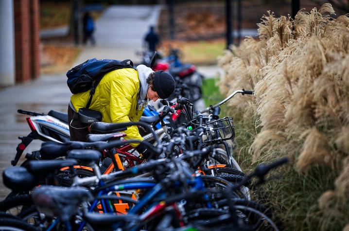 photo of bikes