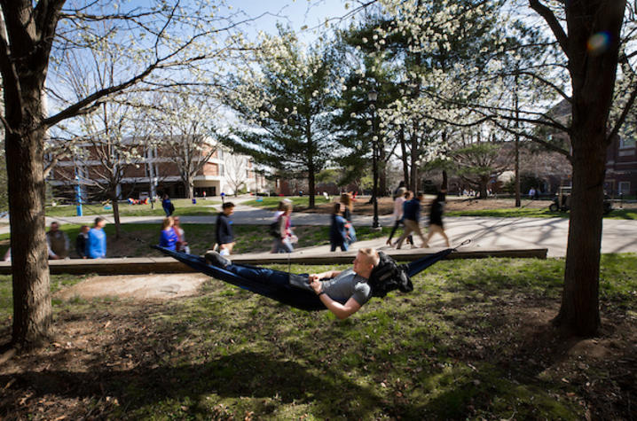 photo of man lying in hammock 