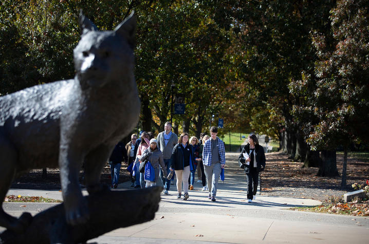 Photo of Wildcat statue and walking tour