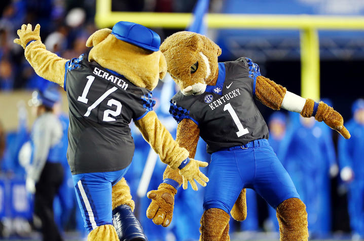 Photo of the Wildcat and Scratch 