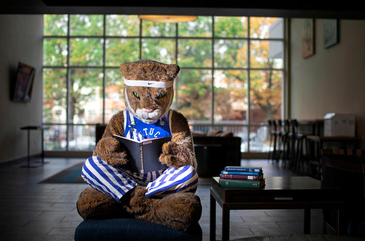 Wildcat reading books