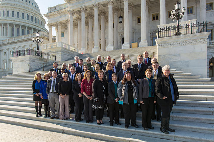 UK group on D.C. steps