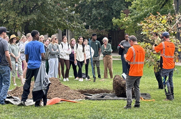 UK Grounds’ arboriculture team A group of people stands on a grassy campus lawn watching a tree-planting demonstration. Two workers wearing bright orange safety shirts position a young tree with a wrapped root ball near a freshly dug planting hole, while piles of mulch, tarps