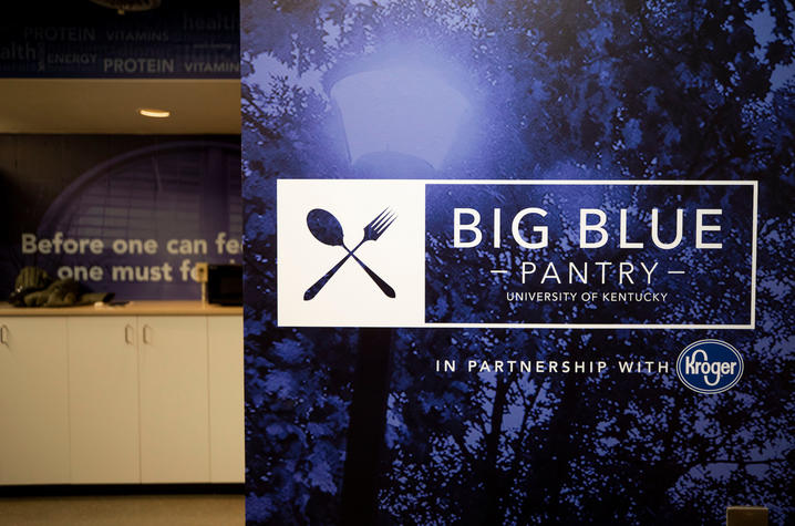 Detail of Big Blue Pantry wall with logo