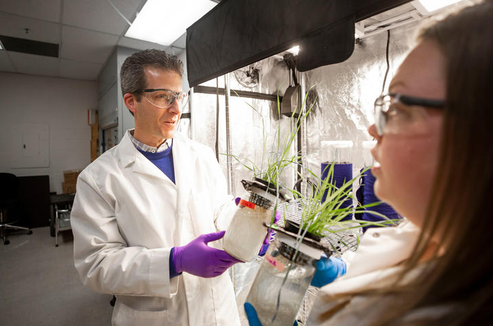 Professor David McNear in lab holding experiment