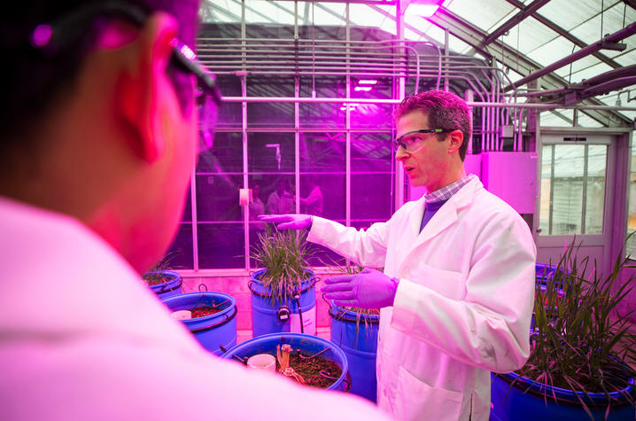 David McNear in greenhouse with white lab coat