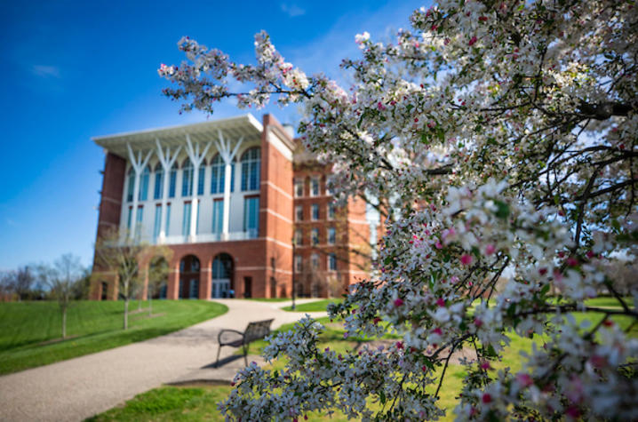 Photo of campus in the spring