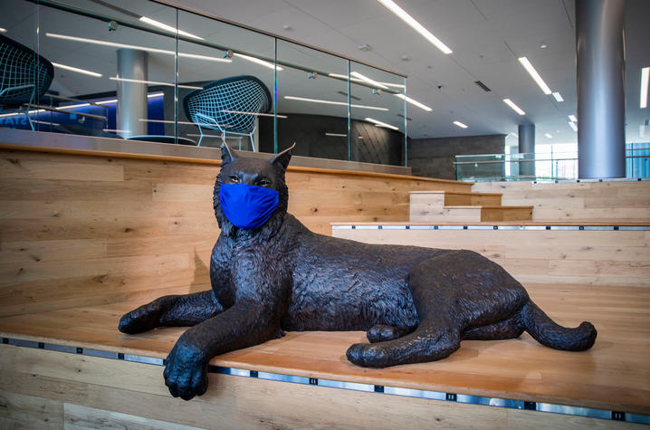 photo of Bowman Wildcat statue in Gatton Student Center wearing a mask