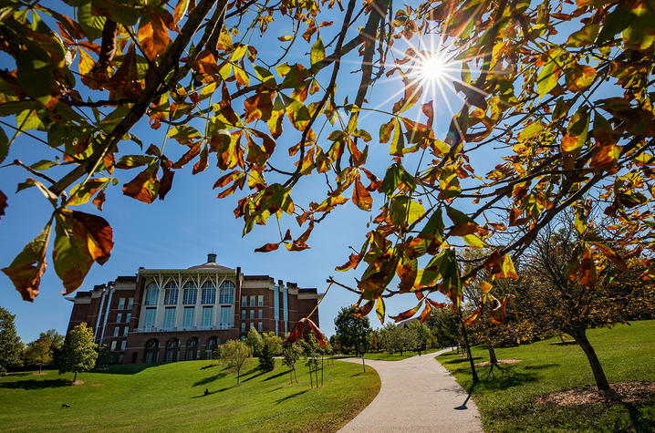 photo of William T. Young Library in the fall