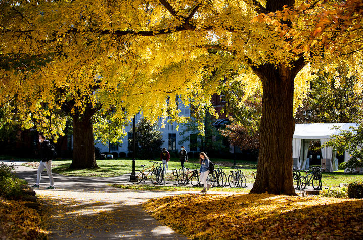 Trees with fall leaves on UK campus