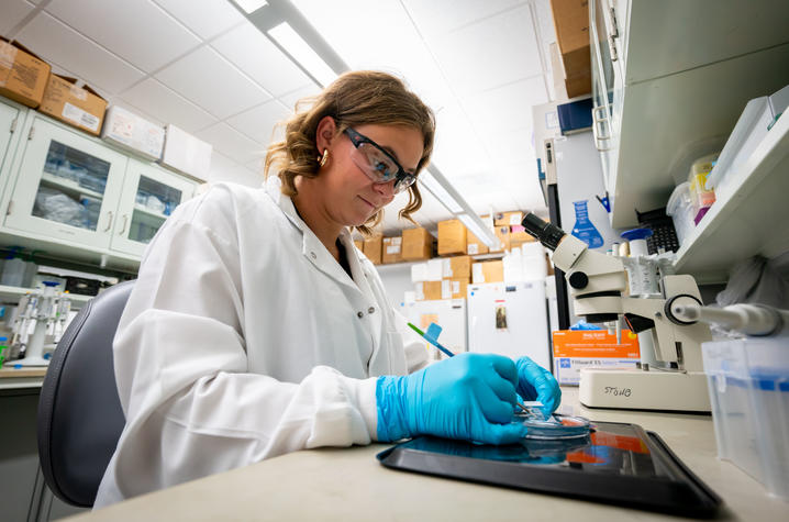 UK senior Murphy Byrd is a 2024 CURE Fellow and has been working on stroke research with Ann Stowe in the UK College of Medicine. Photo by Ben Corwin, Research Communications. 