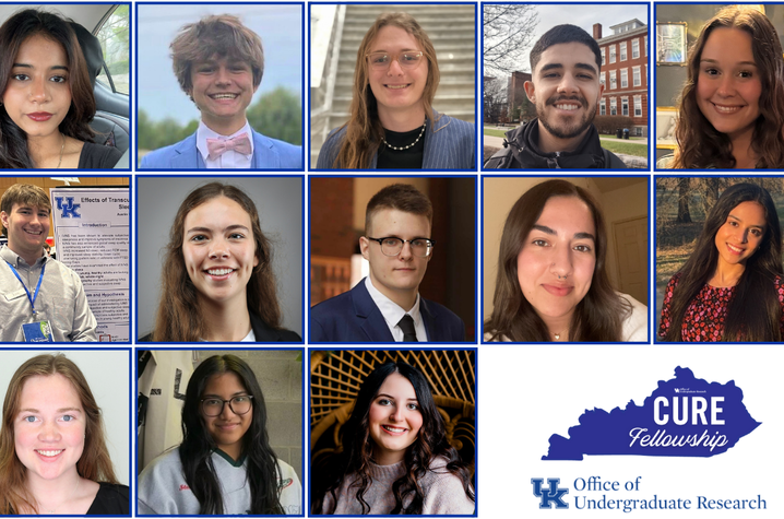 16 undergraduates have been selected for the 2025 Commonwealth Undergraduate Research Experience (CURE) Fellowship program.