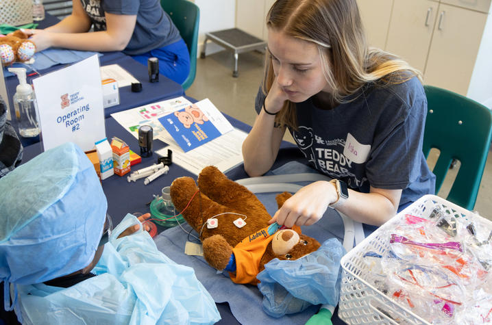 Image of healthcare provider performing an examination on a bear.