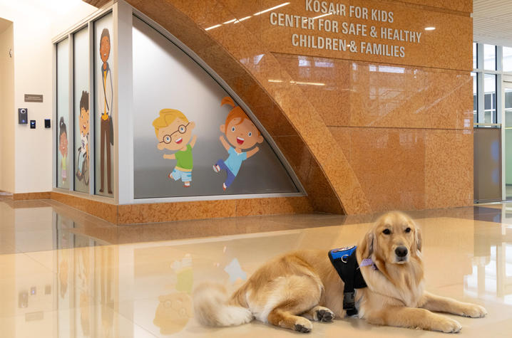 Image of Darcy the golden retriever outside the clinic