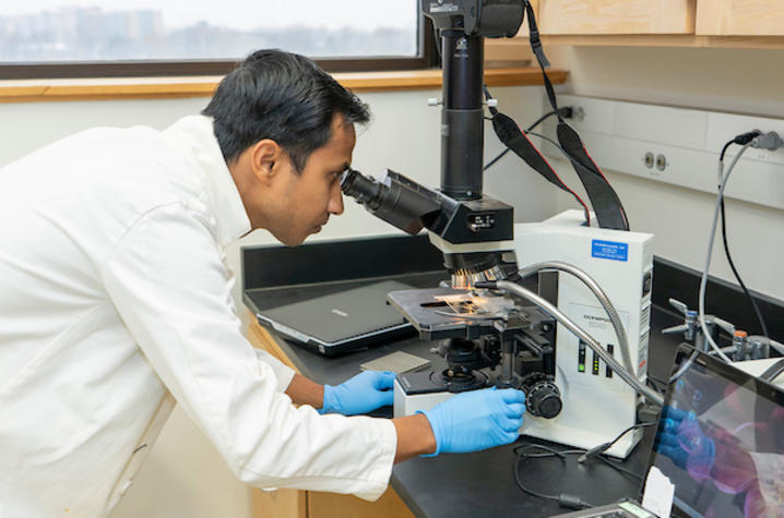 A researcher in a white lab coat and blue gloves looks through a microscope while working at a lab bench with scientific equipment.