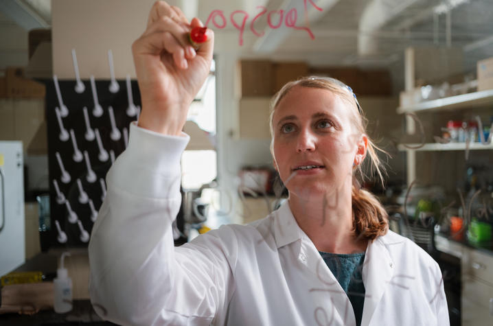 Long writing Person in a lab coat writes on a glass surface with a red marker while standing in a research laboratory. Lab equipment and supplies are visible in the background.